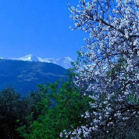 Casa vacanze Mas D'en Llinas *